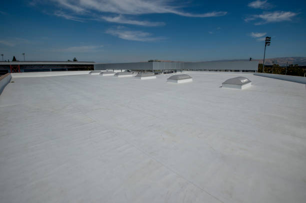 Best Sheet Metal Roofing  in Lowell, OR