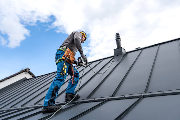 Best Skylight Installation and Repair  in Lowell, OR